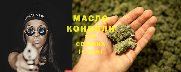 крисы Абаза
