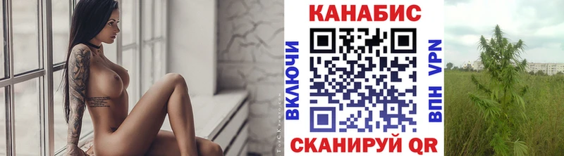 Каннабис сатива  где можно купить наркотик  Ак-Довурак 